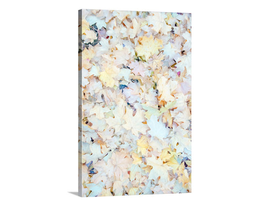 Abstract art print with a floral pattern on a white background. Fall Forest Leaves Nature Photography Print in Pastel