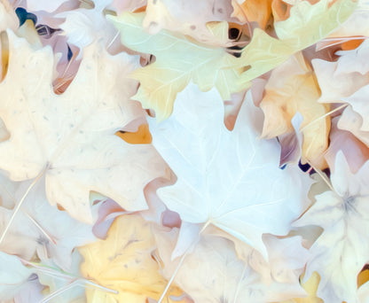Fall Forest Leaves Fine Art Photography Print in Pastel Tones