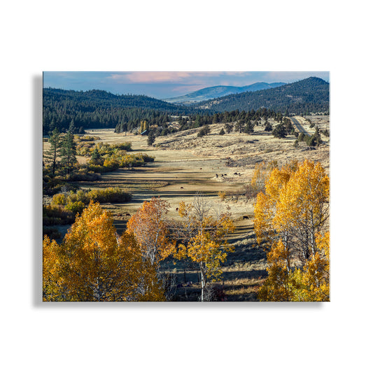 Autumn landscape with trees in yellow and orange hues, fields, and mountains in the distance.. Fine Art Western Ranch Landscape Print for Home with Autumn Leaves