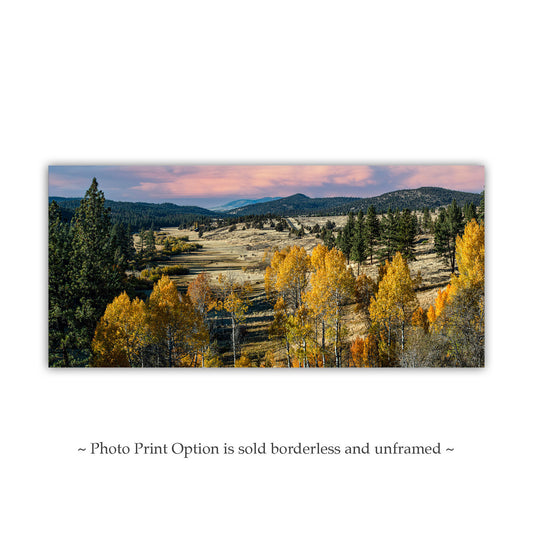 Ranch Landscape Panorama Photo with Autumn Forest Northeast California