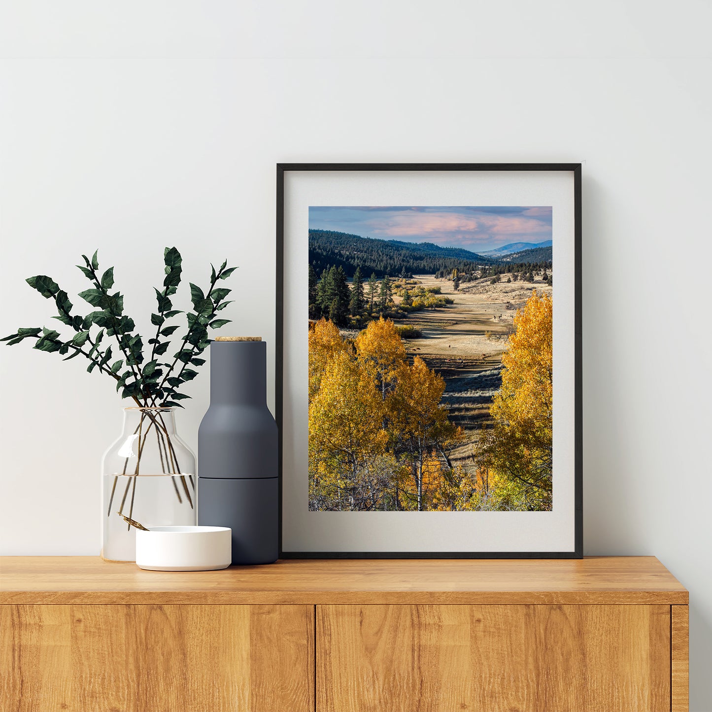 Autumn Aspen Tree Photograph in Northeast California Ranch Country