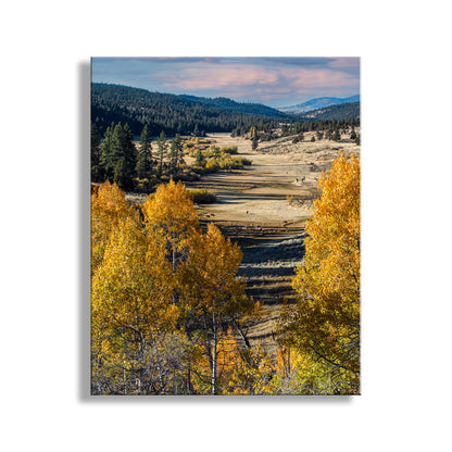 Autumn landscape with yellow trees and mountains in the background. Autumn Aspen Tree Photograph in Northeast California Ranch Country