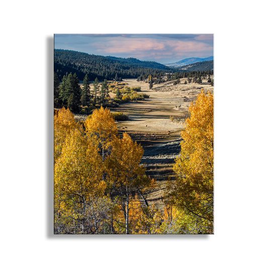 Autumn landscape with yellow trees and mountains in the background. Autumn Aspen Tree Photograph in Northeast California Ranch Country