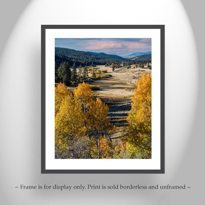 Autumn Aspen Tree Photograph in Northeast California Ranch Country