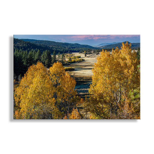 Autumn landscape with yellow trees and a valley in the background. Quaking Aspen Autumn Forest Landscape Art | Western Ranch Country NorCal