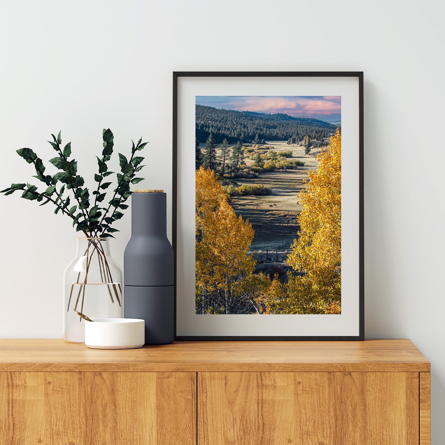 Quaking Aspen Trees in Western Landscape as Nature Wall Decor Photograph