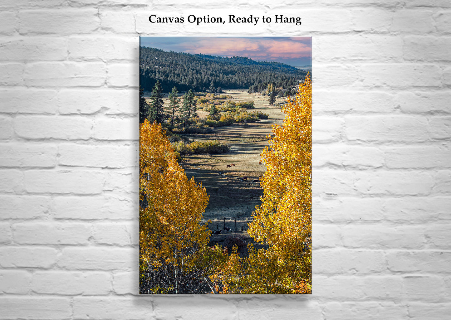 Quaking Aspen Trees in Western Landscape as Nature Wall Decor Photograph