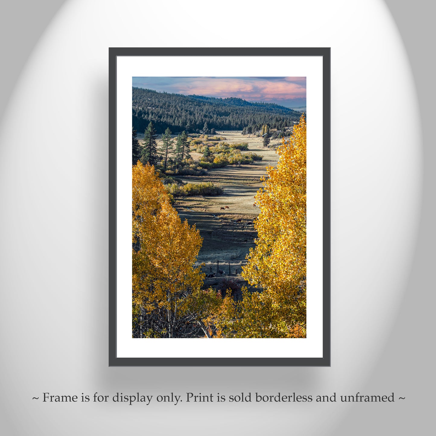 Quaking Aspen Trees in Western Landscape as Nature Wall Decor Photograph