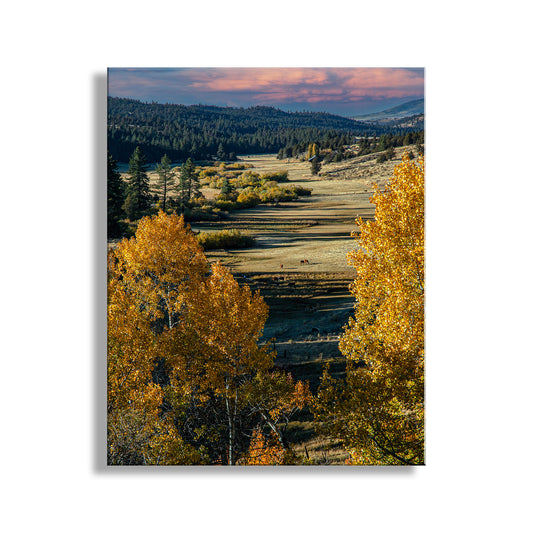 Scenic landscape with autumn trees and a field under a colorful sky. Western Ranch Landscape Art Print with Aspen Trees in Autumn Northeastern California