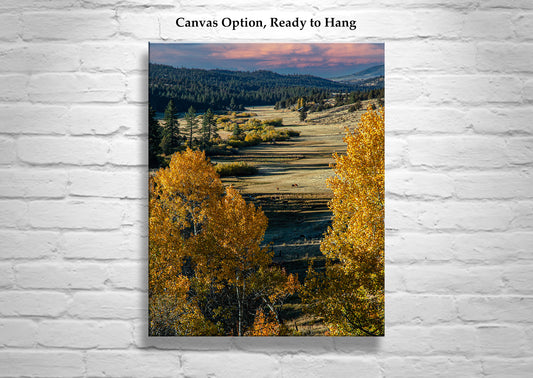 Western Ranch Landscape Art Print with Aspen Trees in Autumn Norcal