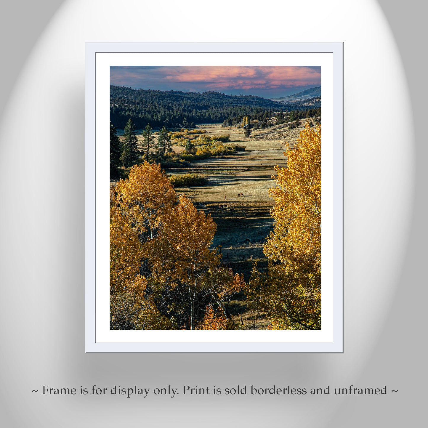 Western Ranch Landscape Art Print with Aspen Trees in Autumn Norcal