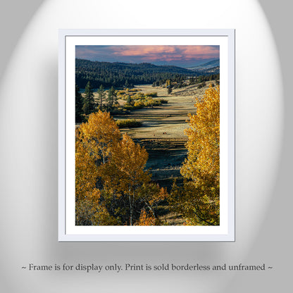 Western Ranch Landscape Art Print with Aspen Trees in Autumn Norcal