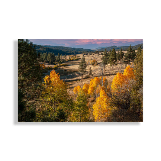 Northeast California Ranch Landscape Photograph with Fall Colors & Aspen Trees