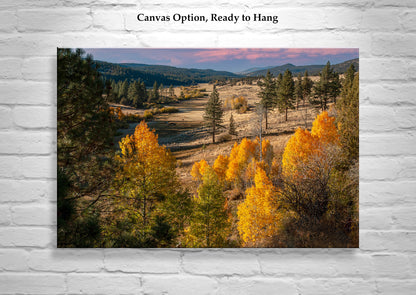 Northeast California Ranch Landscape Photograph with Fall Colors & Aspen Trees