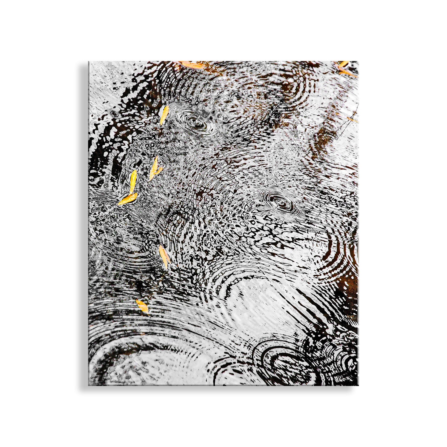 Serene Water Ripple Rain Drops Autumn Fine Art Nature Artwork