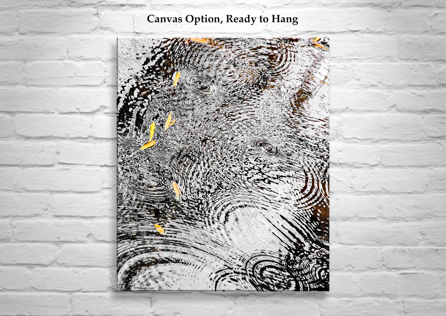 Serene Water Ripple Rain Drops Autumn Fine Art Nature Artwork