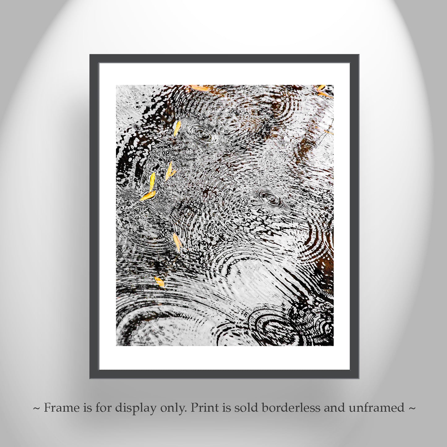 Serene Water Ripple Rain Drops Autumn Fine Art Nature Artwork