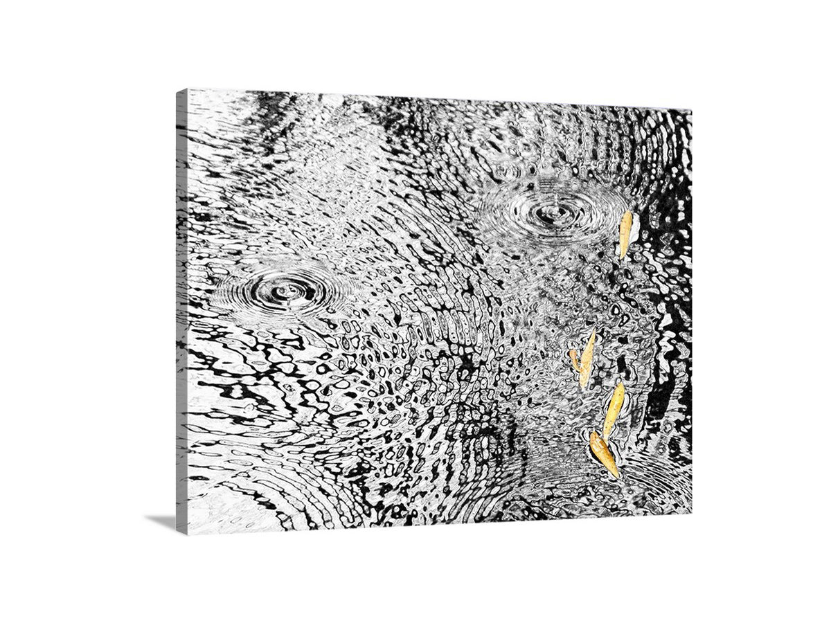 Rain Water Art Print | Autumn Ripples Arizona Wilderness Photo