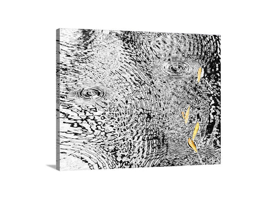 Rain Water Art Print | Autumn Ripples Arizona Wilderness Photo