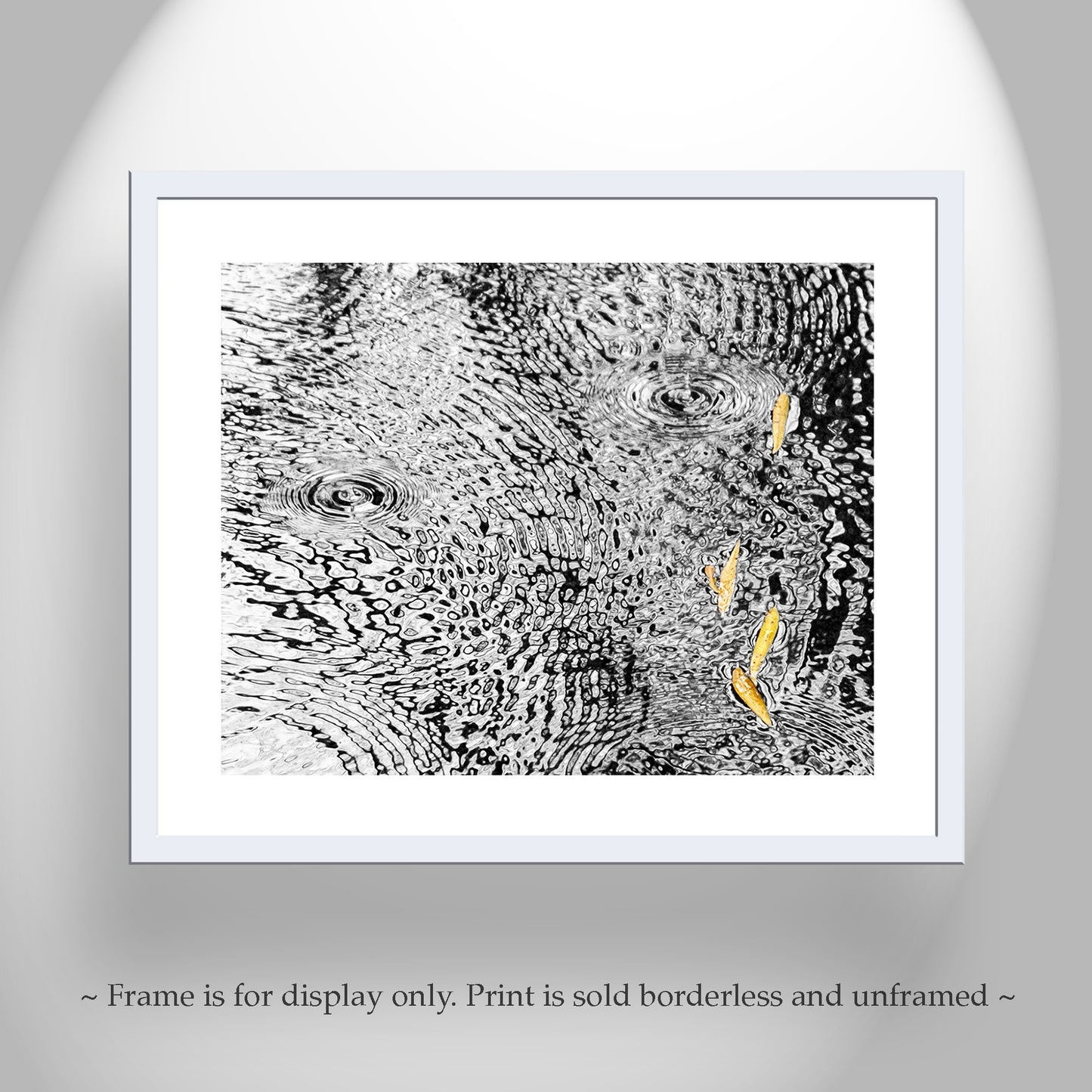 Rain Water Art Print | Autumn Ripples Arizona Wilderness Photo