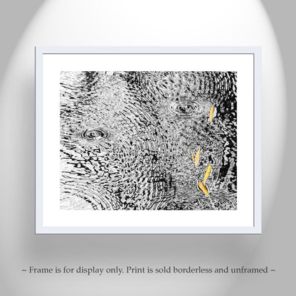 Rain Water Art Print | Autumn Ripples Arizona Wilderness Photo