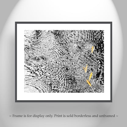 Rain Water Art Print | Autumn Ripples Arizona Wilderness Photo