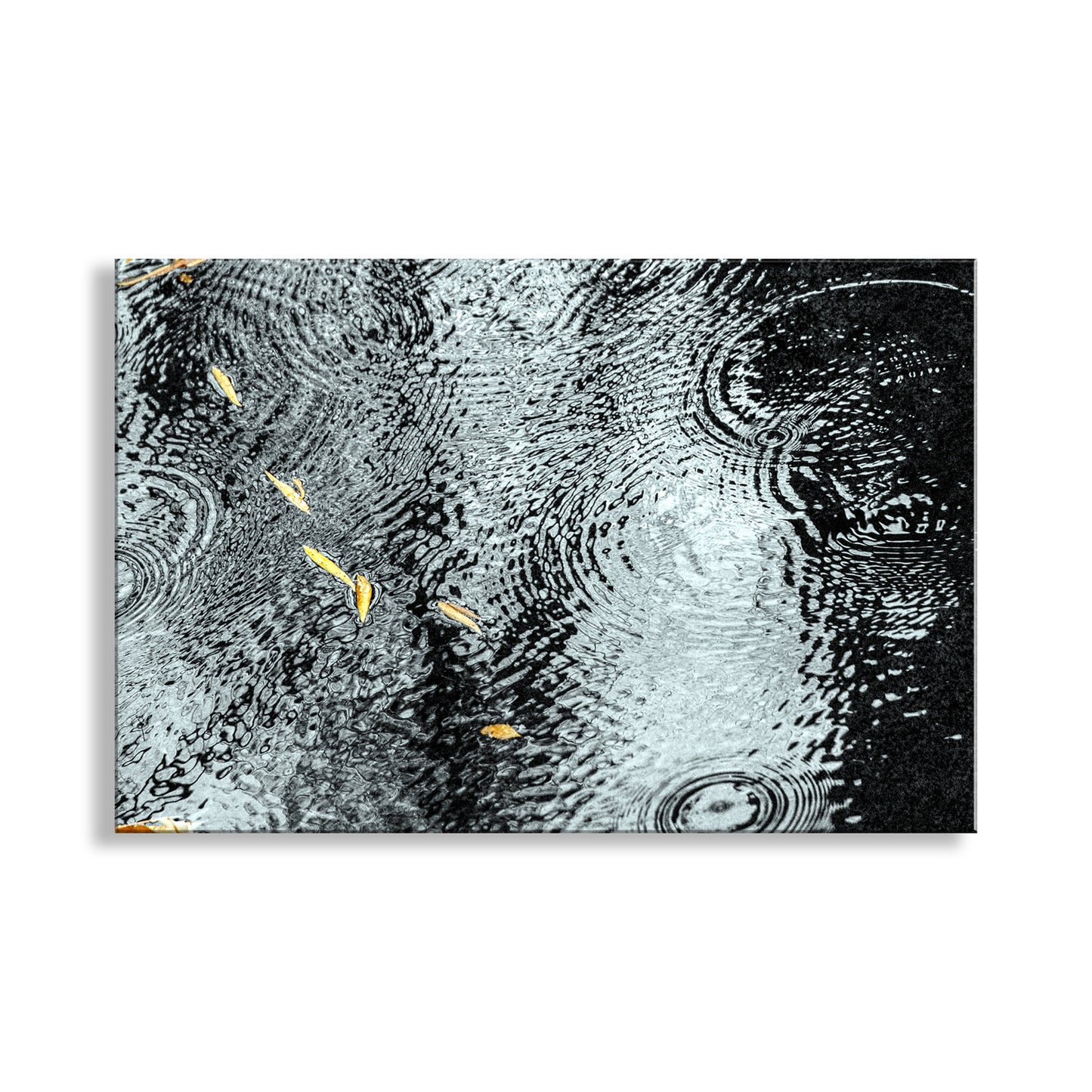 Rain Drops and Water Ripples Nature Art with Autumn Leaves