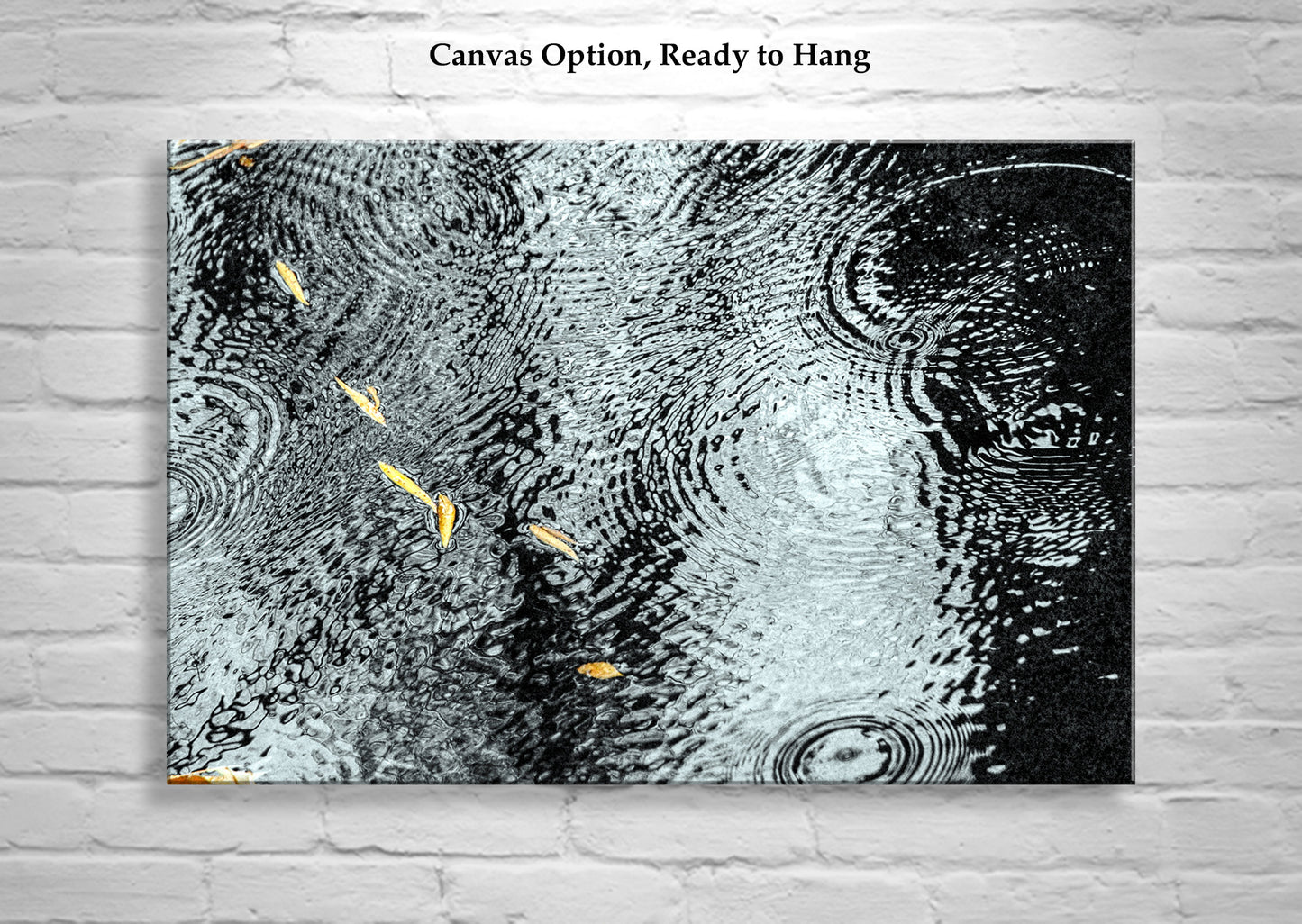 Rain Drops and Water Ripples Nature Art with Autumn Leaves