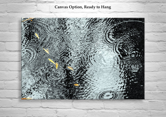 Rain Drops and Water Ripples Nature Art with Autumn Leaves