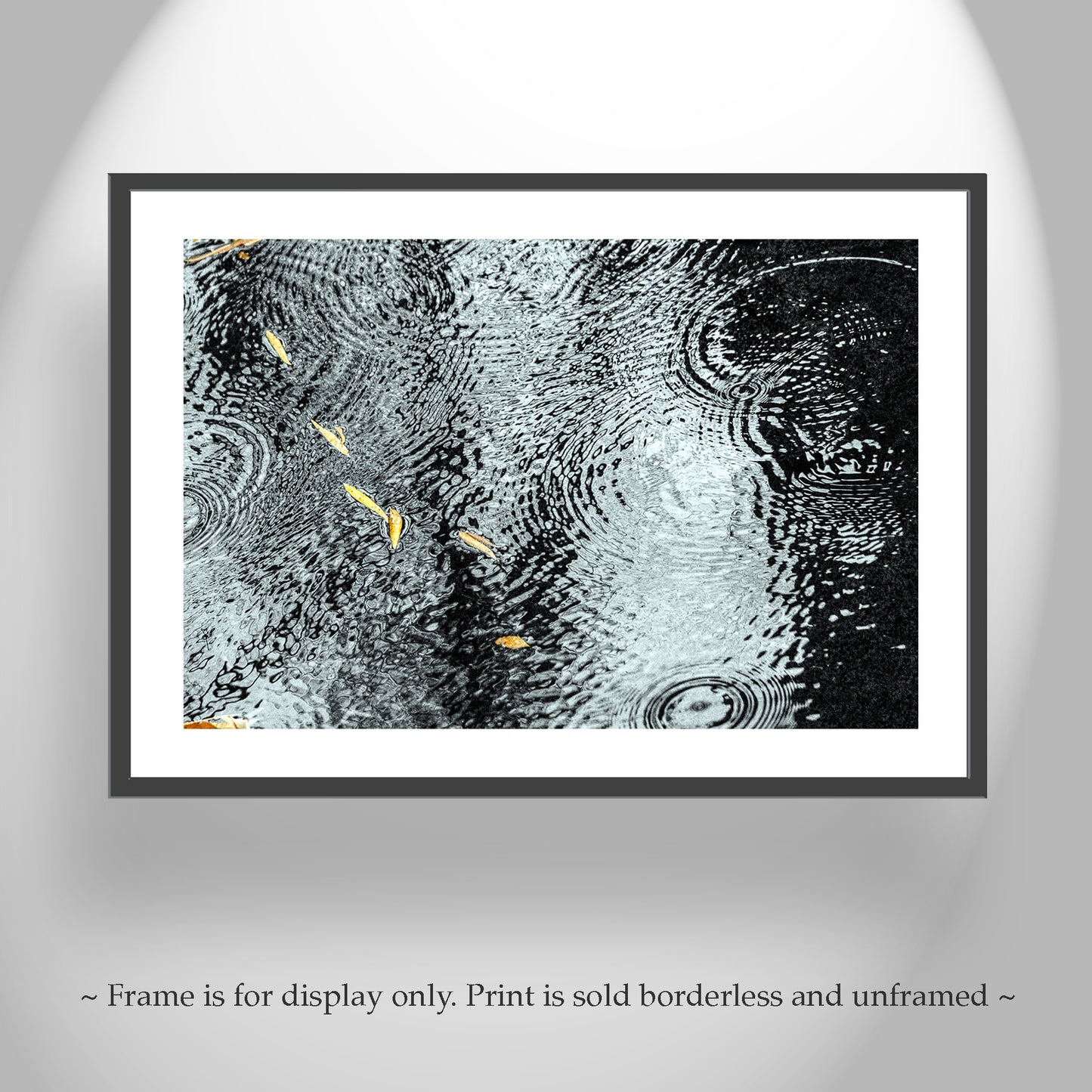 Rain Drops and Water Ripples Nature Art with Autumn Leaves