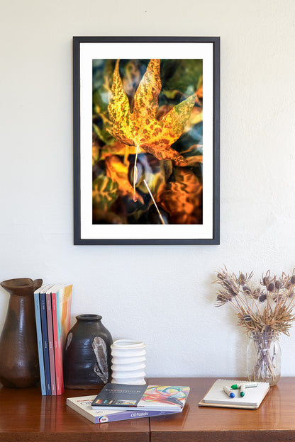 Sycamore Leaf in Water Abstract Botanical Art | Arizona Canyon Oasis