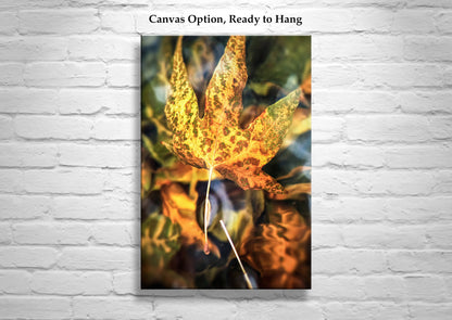 Sycamore Leaf in Water Abstract Botanical Art | Arizona Canyon Oasis