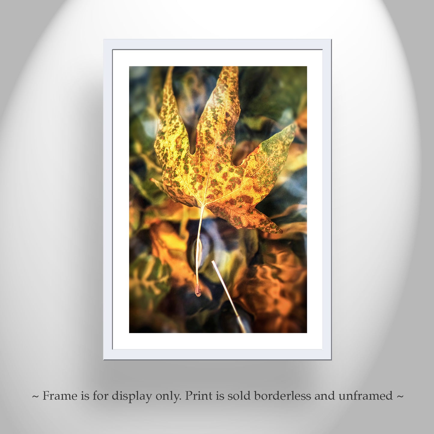 Sycamore Leaf in Water Abstract Botanical Art | Arizona Canyon Oasis