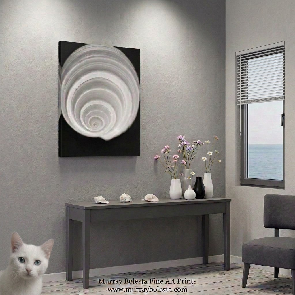 B&W seashell art by Murray Bolesta!