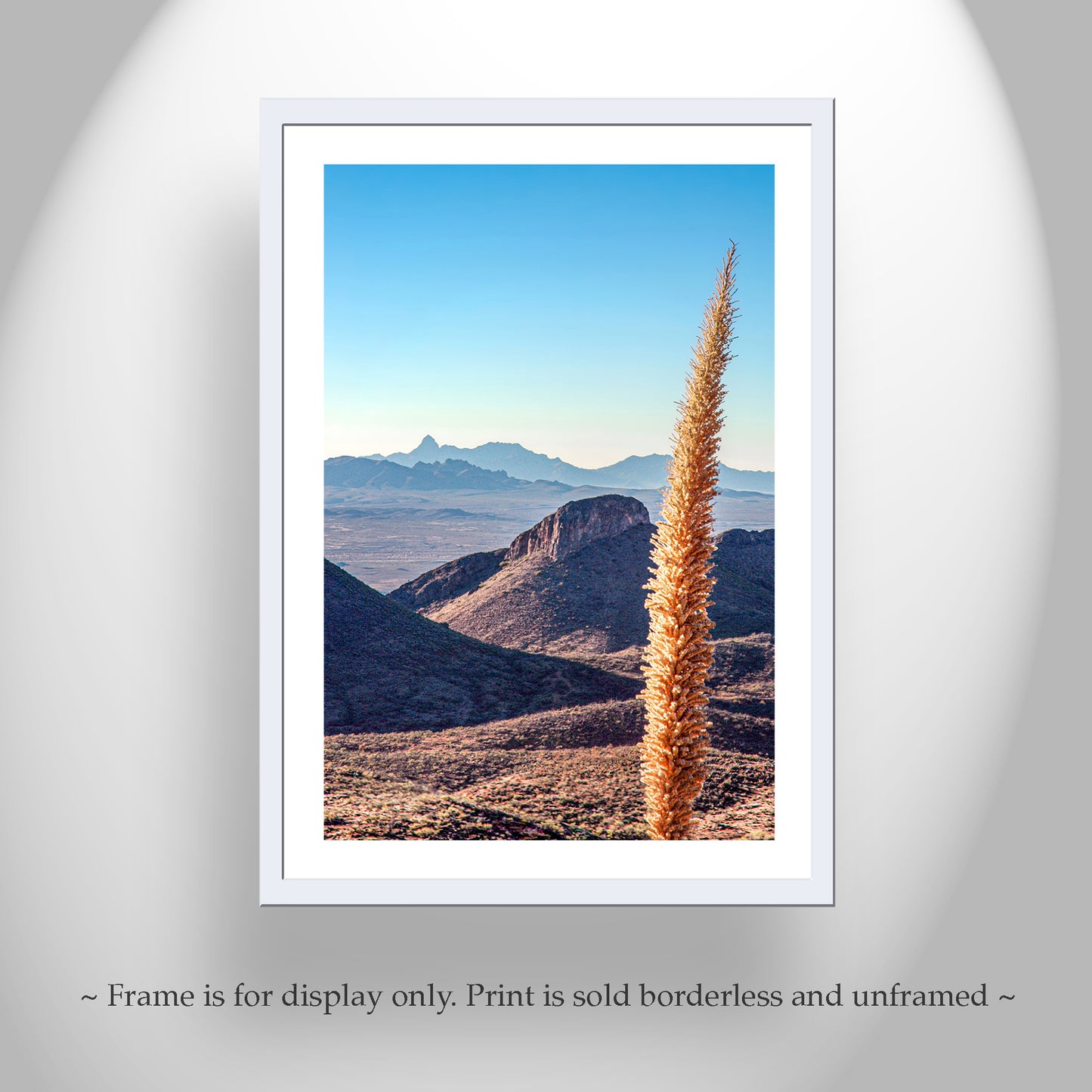 Mount Hopkins Road – Santa Rita Mountains Sotol Agave Print