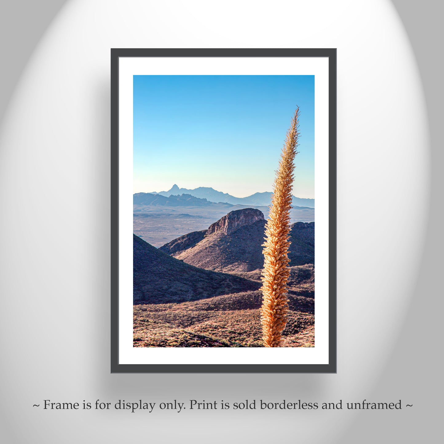Mount Hopkins Road – Santa Rita Mountains Sotol Agave Print