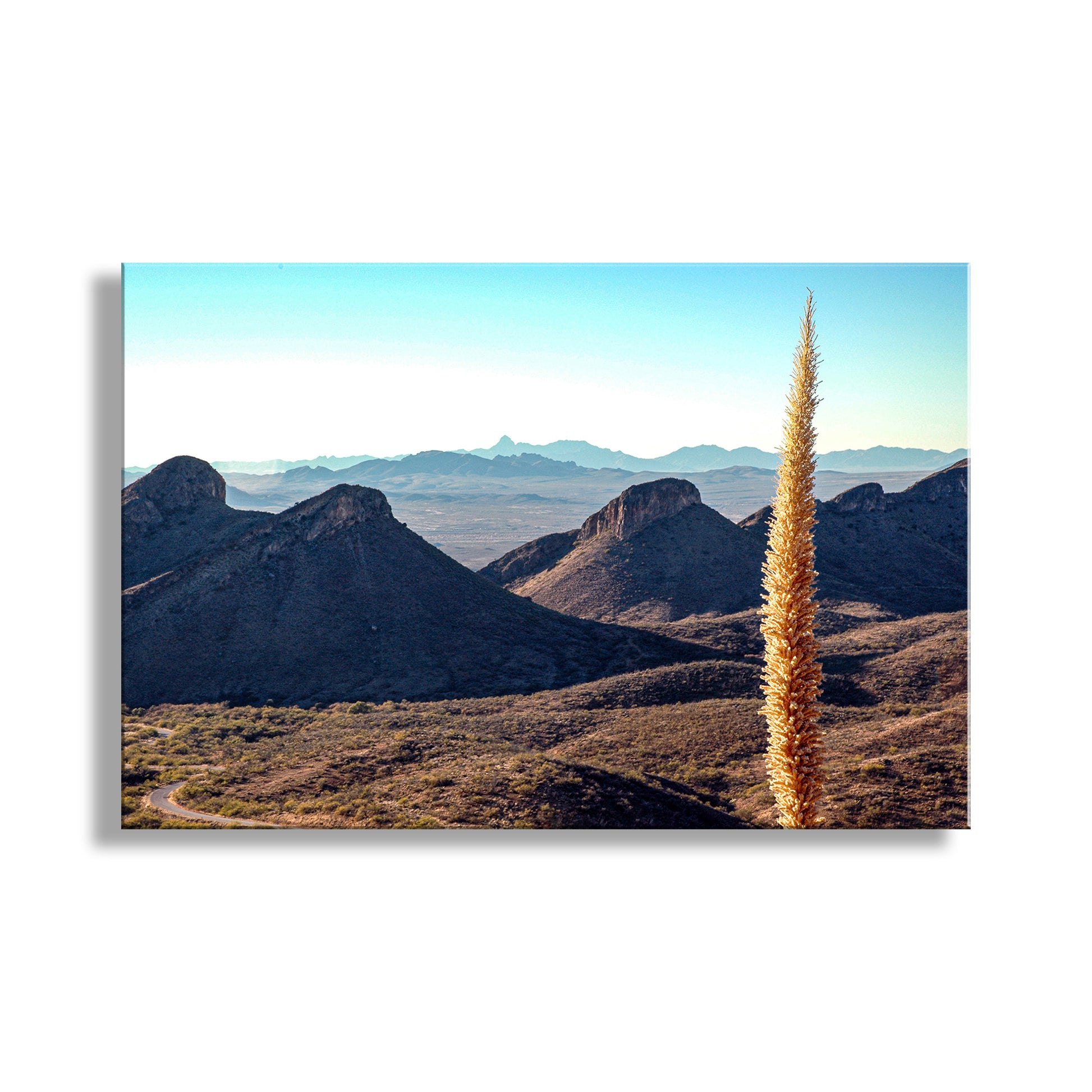 Tall, thin cactus with desert landscape and mountains in the background. My rugged landscape scene of southern Arizona USA! I captured this image at Mt. Hopkins Observatory Road in the great Santa Rita Mountains of the Sky Island borderlands. To the west is sacred Baboquivari Peak! Original, unique signed art by Murray Bolesta.