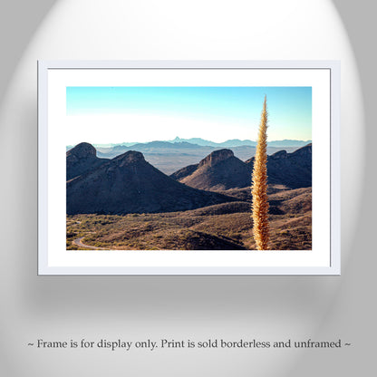 Santa Rita Mountains Arizona Landscape Art with Sotol Agave