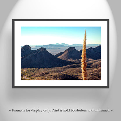 Santa Rita Mountains Arizona Landscape Art with Sotol Agave