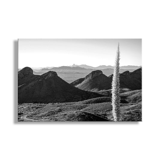Santa Rita Mountains Arizona Wall Decor in Black and White with Sotol Agave