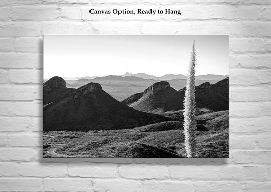 Santa Rita Mountains Arizona Wall Decor in Black and White with Sotol Agave