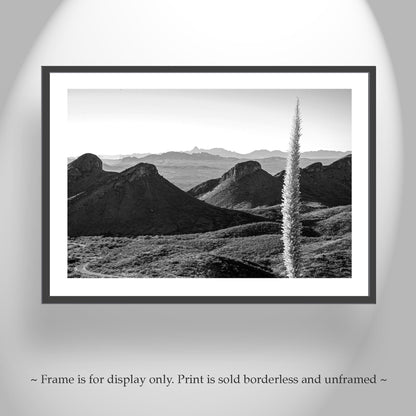 Santa Rita Mountains Arizona Wall Decor in Black and White with Sotol Agave