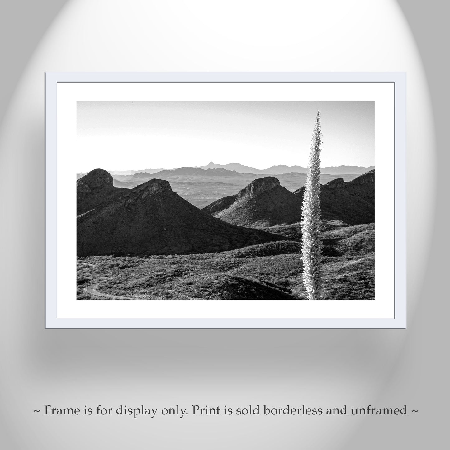 Santa Rita Mountains Arizona Wall Decor in Black and White with Sotol Agave