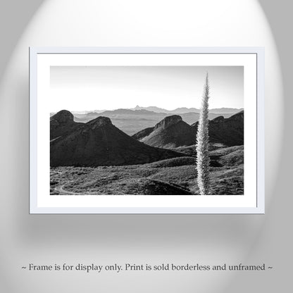 Santa Rita Mountains Arizona Wall Decor in Black and White with Sotol Agave