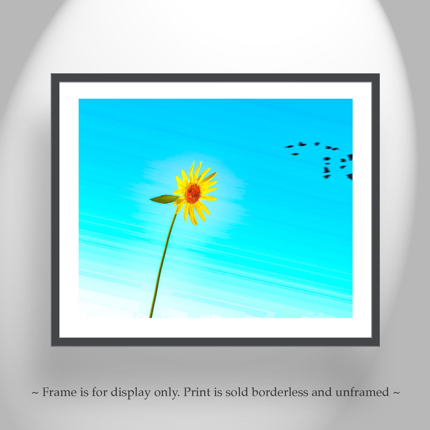 Sunflower Art Print Minimalist Nature Photography with Bird Flock