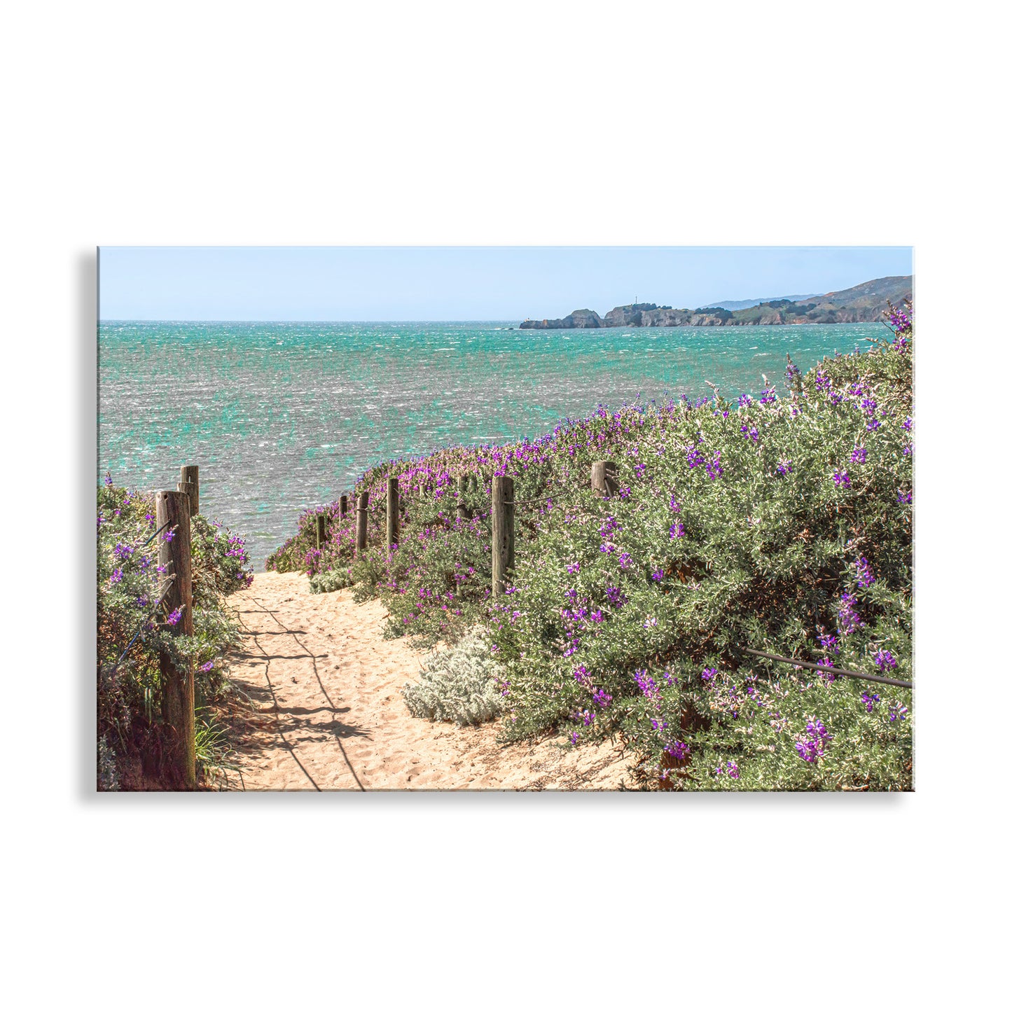 Beautiful Presidio San Francisco! Wildflowers embellish my scene of sandy steps descending to Baker Beach at the Presidio, San Francisco California, with Point Bonita in the distance. Original, unique signed art by Murray Bolesta.