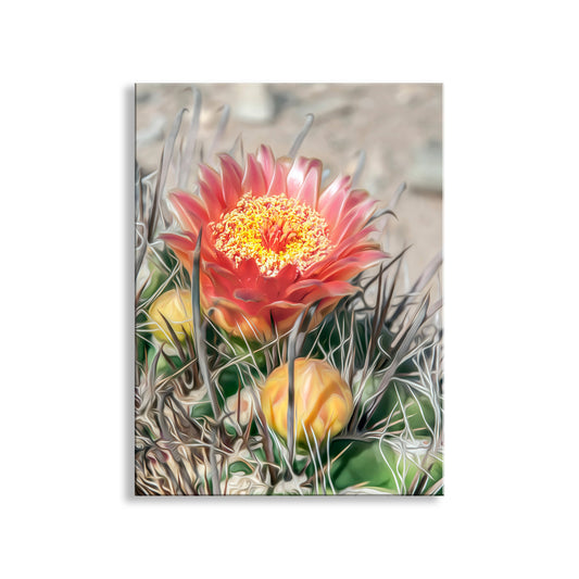 Desert Botanical Flower Art Print with Arizona Cactus Blossom