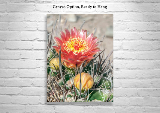 Desert Botanical Flower Art Print with Arizona Cactus Blossom