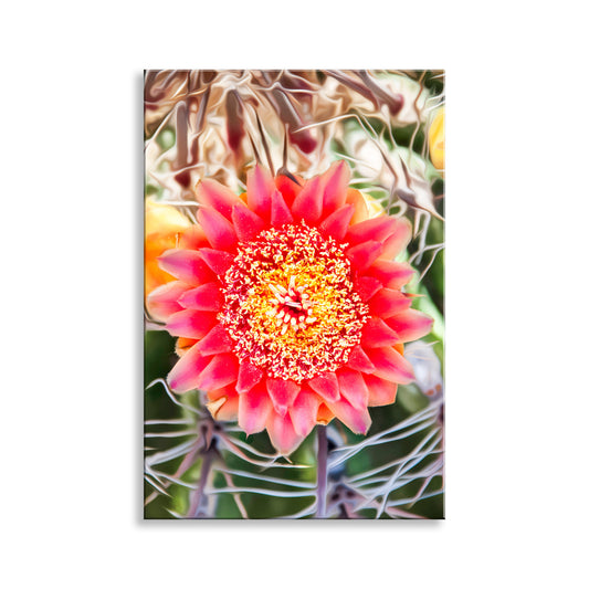 Botanical Art Print with Arizona Desert Wildflower | Barrel Cactus