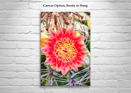Botanical Art Print with Arizona Desert Wildflower | Barrel Cactus